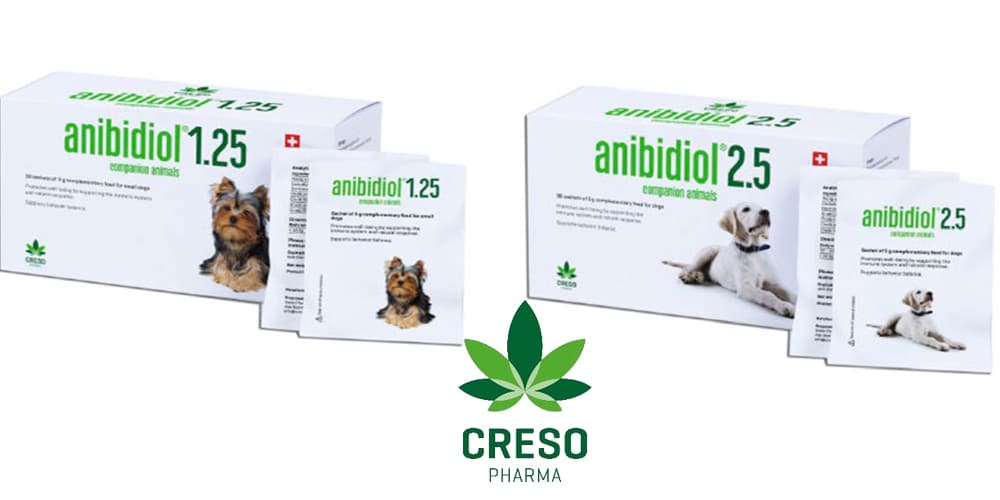 Creso Pharma launches first hemp-based animal feed product