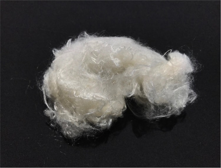 Nanollose produces revolutionary sustainable fibre for the clothing industry